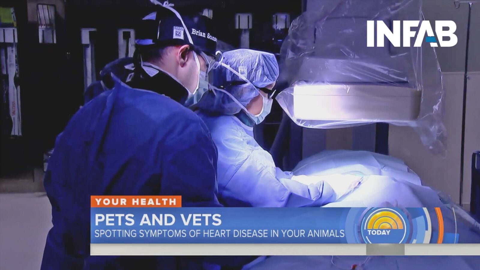 Vets Saving Dogs with Heart Disease featured on TODAY Show with INFAB Protection